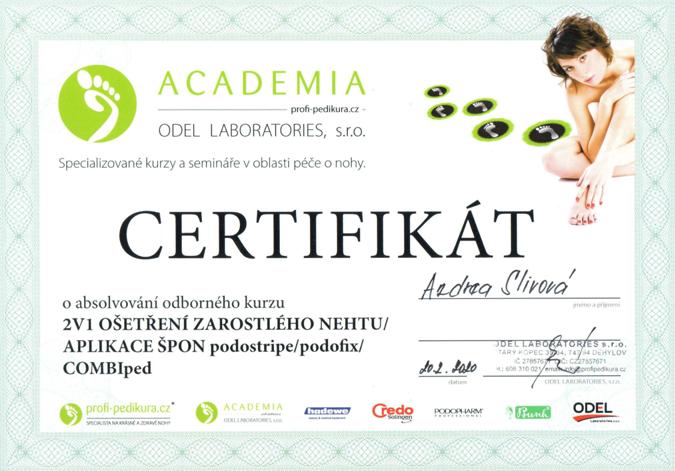 Pohled na certifikát