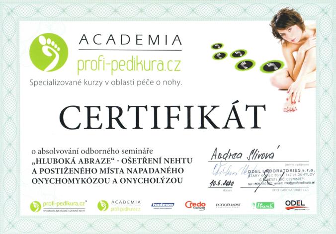 Pohled na certifikát
